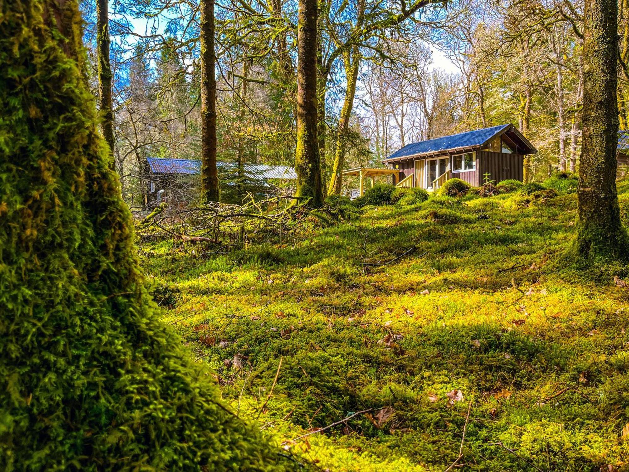 Loch Aweside Forest Cabins Dalavich Стая снимка